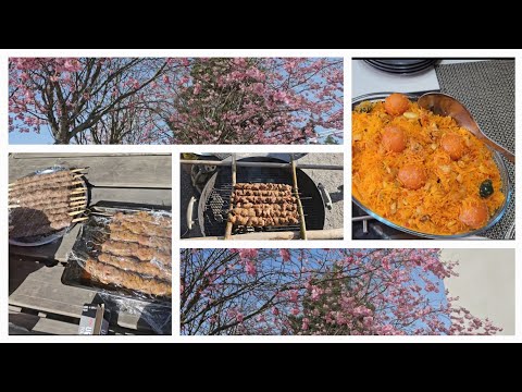 Bb q Party with Friend | Summer 2024 ki pahli grill party | Bihari kabab or Seekh kabab