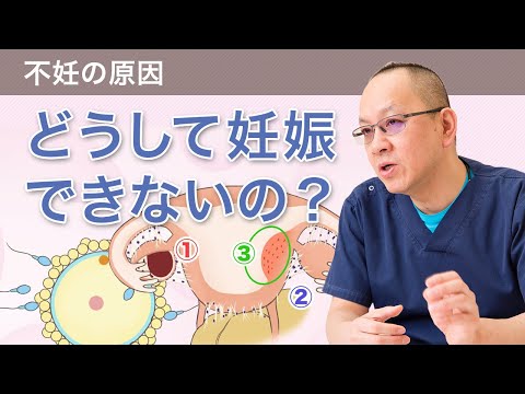 どうして妊娠できないの！？（不妊の原因）　「不妊治療はじめの一歩講座②」