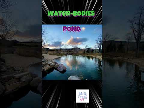 Types of Water Bodies