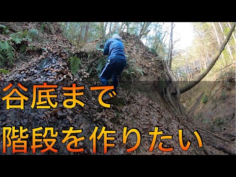 谷底まで階段を作りたい / キャンプサイト作り 【山開拓】#29