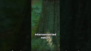 Tree Talk: The Secret Language of Forests 🌳🗣️ ||NatureConversations||ForestWhispers||WoodlandSecrets