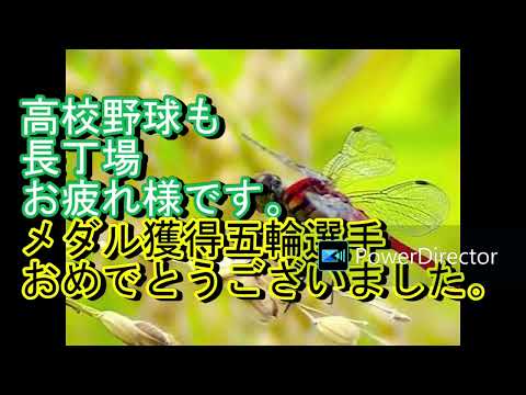 622【南海トラフ地震】#1707年富士山噴火#2014年御岳山噴火#リニアモーターカー#北陸新幹線延伸#猛暑#2024夏#高校野球2024#2024パリ五輪#近況#雑感