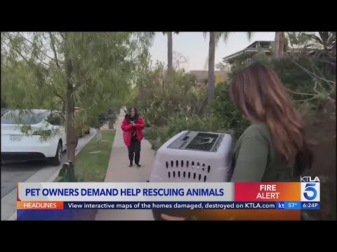 Help needed rescuing animals affected by SoCal wildfires