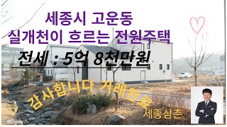 세종시 고운동 실개천 옆 단독주택 전세 5억 8천만원