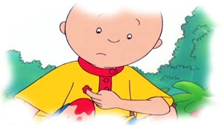 Funny Animated cartoons for Kids | Caillou gets hurt | Cartoon Movie | BEST