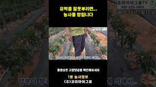 유박을 잘못뿌리면..농사를 망칠 수 있습니다.