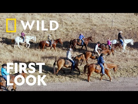 New Season | Heartland Docs | National Geographic WILD UK