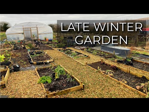 Garden Tour in Late Winter | Is it too late to start growing?