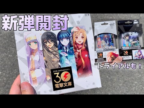 【ヴァイス】30年に感謝！[電撃文庫]