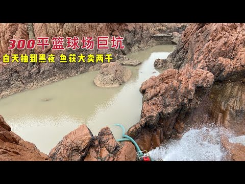 【阿向趕海】300平籃球場巨坑 白天抽到黑夜 擒獲四大天王，大賣2600 簡直賺翻