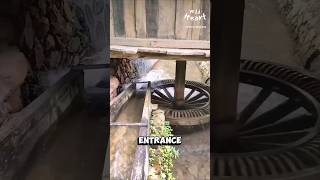 How Water Wheels Grind Grain