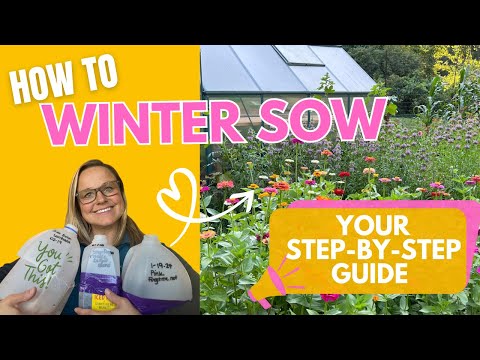 WINTER SOWING MADE EASY | step-by-step guide, prepare & sow seeds, advice, tips & recommendations