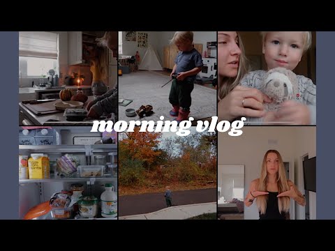 our morning, fridge tour + mini q/a