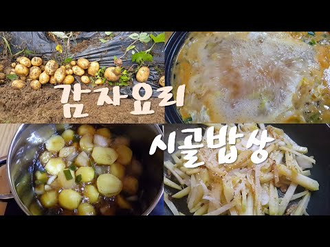 VLOG 브이로그 : 시골밥상 감자요리 감자볶음, 감자국, 감자조림 country story, Potato dish, stir-fried potatoes, Potato soup