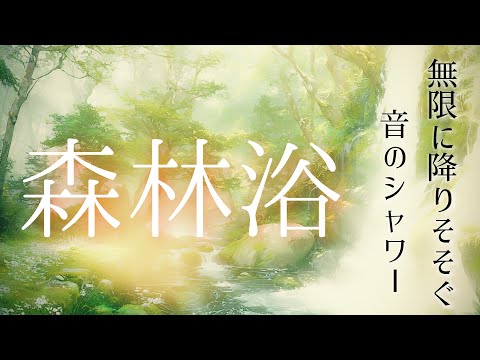 Deep Relaxing Ambient Music in the Forest