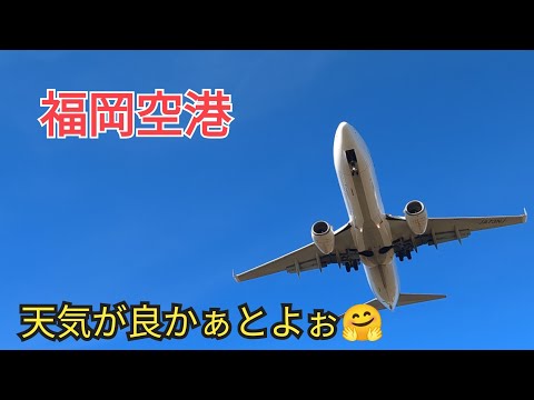 [Fukuoka Airport] The weather is good😍23-17