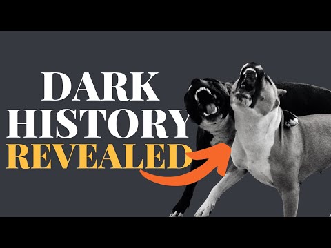 What Was the Staffordshire Bull Terrier Bred For? [TRUTH REVEALED!]