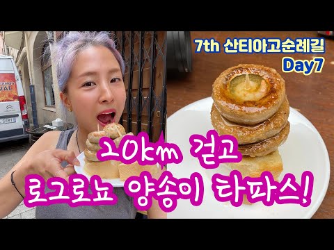 산티아고순례길 7일차! 봄여름가을겨울 언제가 제일 좋나요? 로그로뇨 입성기 _ 7th camino de santiago