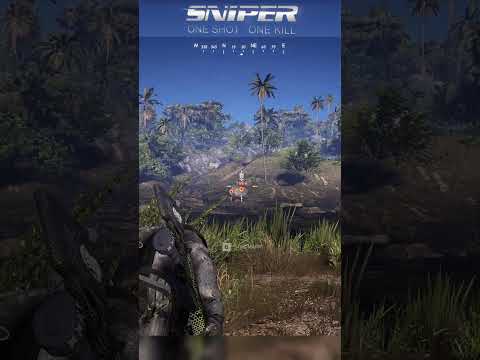 One sort one kill #sniper #gaming #snipermontage