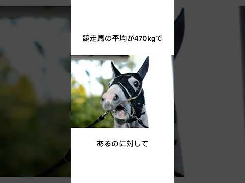 馬界の奇行種ゴールドシップ　#競馬 #馬 #騎手 #競艇 #競輪#雑学