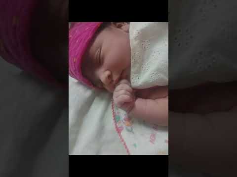 मेरे घर आई एक नन्ही #short #cute Dall #viral #cute lshanvi🥰