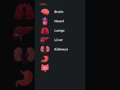 Guess the Organ! 🧠👀 Test Your Medical Knowledge !!