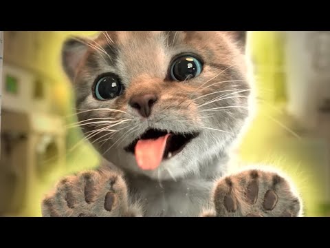 Animated Little Kitten friends Adventure - Preschool and kindergarten learning Cartoon #1187