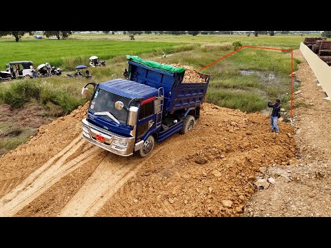 Wonderful Starting New Land Clearing &  Filling Up By Dozer Push Soil, Stone Vs 5ton Truck Unloading