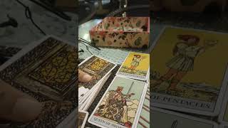 #tarot #curentfeelings #fortunetelling #trending #love #tarotreading