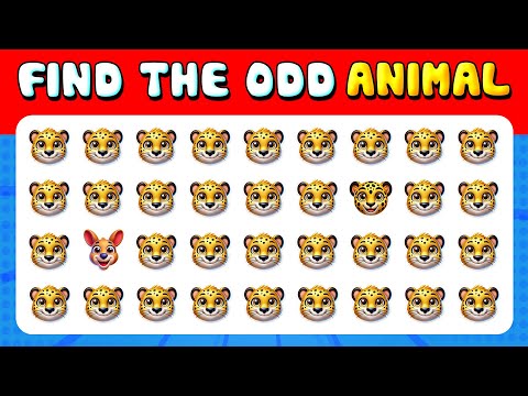 244 Puzzles for GENIUS 🧩 | Find the ODD One Out | Animal Quiz 🦁🐯 Easy, Medium, Hard Levels