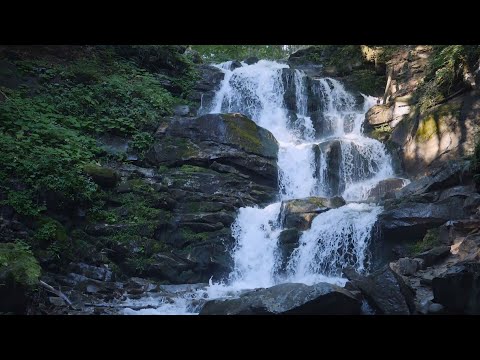 가을에 듣기 좋은 힐링음악모음🌲하루10분 만병을 치료 해주는 힐링 명상 기치료 음악 및 영상 - 아침음악, 힐링음악, 명상음악, 스트레스해소음악