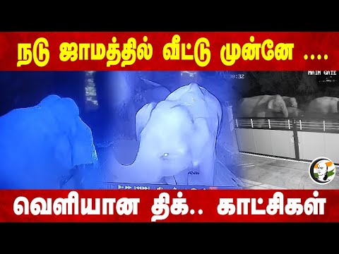 நடு ஜாமத்தில் வீட்டு முன்னே... வெளியான திக்.. காட்சிகள் Elephant | Kovai | Forest Dept |