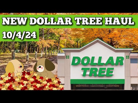 Amazing Dollar Tree Haul: Check Out The Latest Finds!