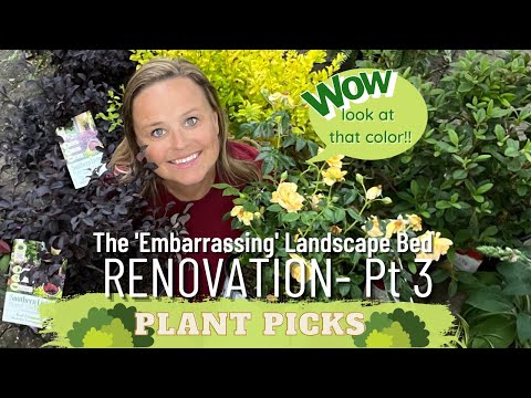 Reviving an Embarrassing Landscape | Sentimental & Detailed Plant Selection | The Southern Daisy