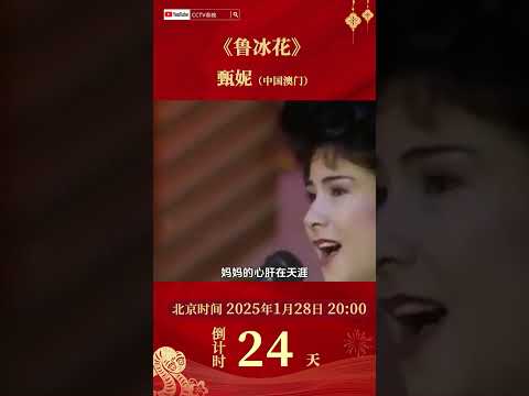 夜夜想起妈妈的话！甄妮献唱儿时经典《鲁冰花》致敬伟大母爱 | CCTV春晚