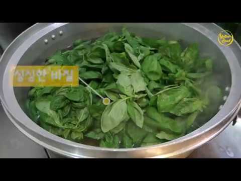 ep 13. 바질페스토 레시피를 배워봐요. 마법의 만능 소스 BASIL PESTO