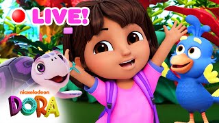 🔴 LIVE: Dora & Baby Animal Amigos! 🐈 24/7 Livestream | Dora & Friends