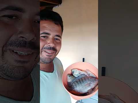 Pouco tempo morando no sitio e já temos peixe