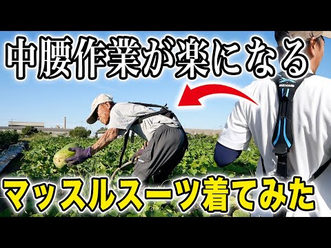 腰痛を防げ！中腰作業が楽になるアシストスーツを着てみた【マッスルスーツ】