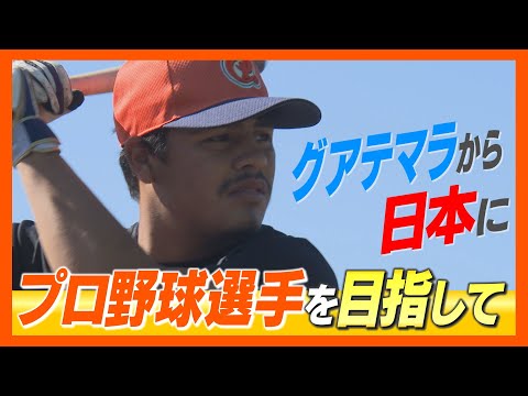 【密着！プロ野球選手目指し…】グアテマラから日本にやってきた野球少年の挑戦