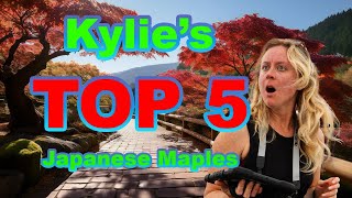 Kylie’s Top 5 Japanese Maples!