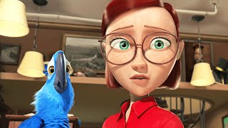 RIO Clip - "Blue Macaw Books" (2011)