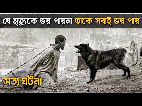 সত্য ঘটনা ॥ পরিবারকে রক্ষা করার এক অবিশ্বাস্য লড়াই movie explained in bangla