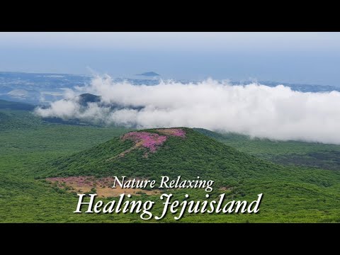 신이 빚은 최고의 자연풍경 한라산 영실과 함께하는 좋은 기운이 가득해지는 힐링타임 Nature Relaxation Healing  jejuisland HallasanMountain