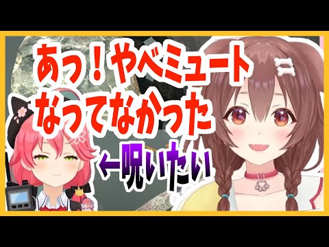 みこちを呪う決意をするもミュートを忘れるころさん【ホロライブ切り抜き/戌神ころね/さくらみこ】