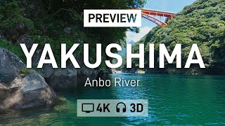 Yakushima - Anbo River - Tour Preview