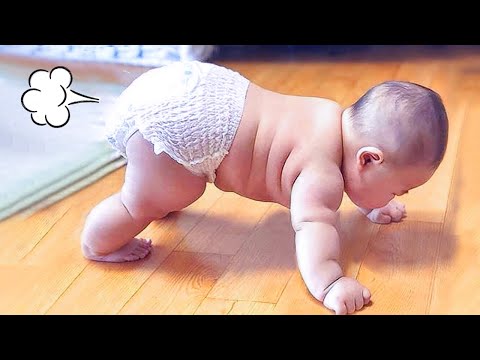 Funny Baby Videos - Adorable Chubby Baby Moments Compilations