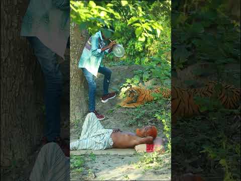 Hilarious Reaction Scary Fake Tiger Prank On Rest Man! | Sagor Bhuyan