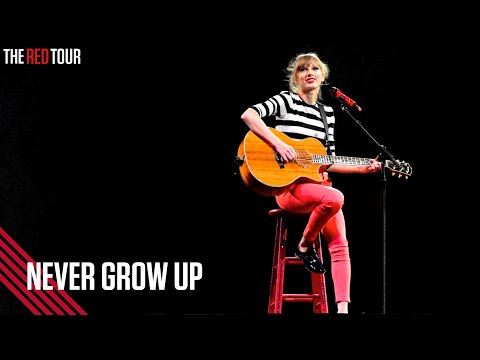 Taylor Swift - Never Grow Up (Live on the Red Tour)