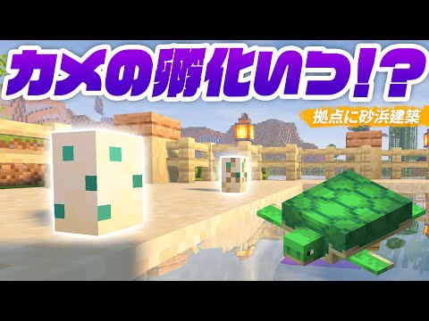 カメの孵化○時間待ち！？拠点の牧場エリアにカメの砂浜を建築🐢【マイクラ / マインクラフト / minecraft】129